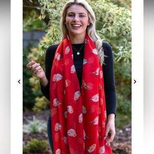 NWOT Irelands Erin Knitwear in County Cork Watercolour Robin Scarf Red